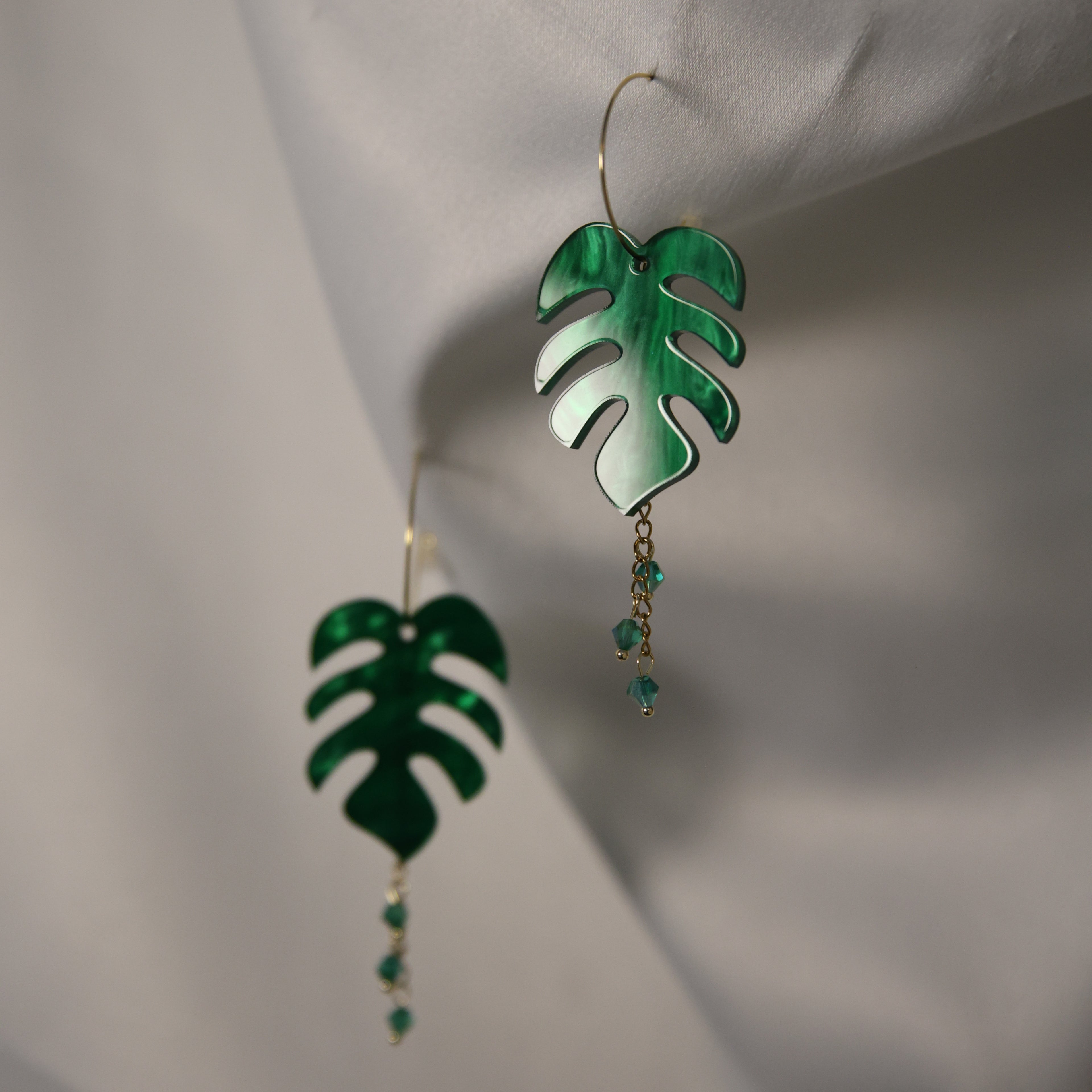 Monstera Korvakorut